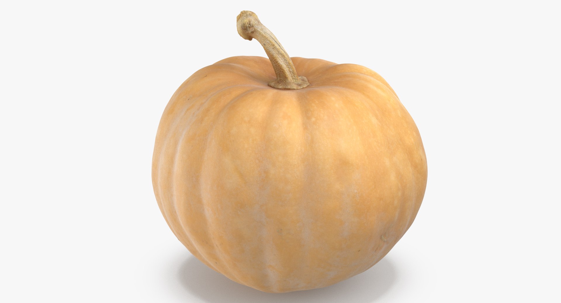 3D model Pumkins Collection 08 - 10 models https://p.turbosquid.com/ts-thumb/ps/Q0RltZ/On/pumpkin_02_thumbnail_0002/jpg/1635502575/1920x1080/fit_q87/4fb0d8102b69581982f6797da2564e23b3416d91/pumpkin_02_thumbnail_0002.jpg