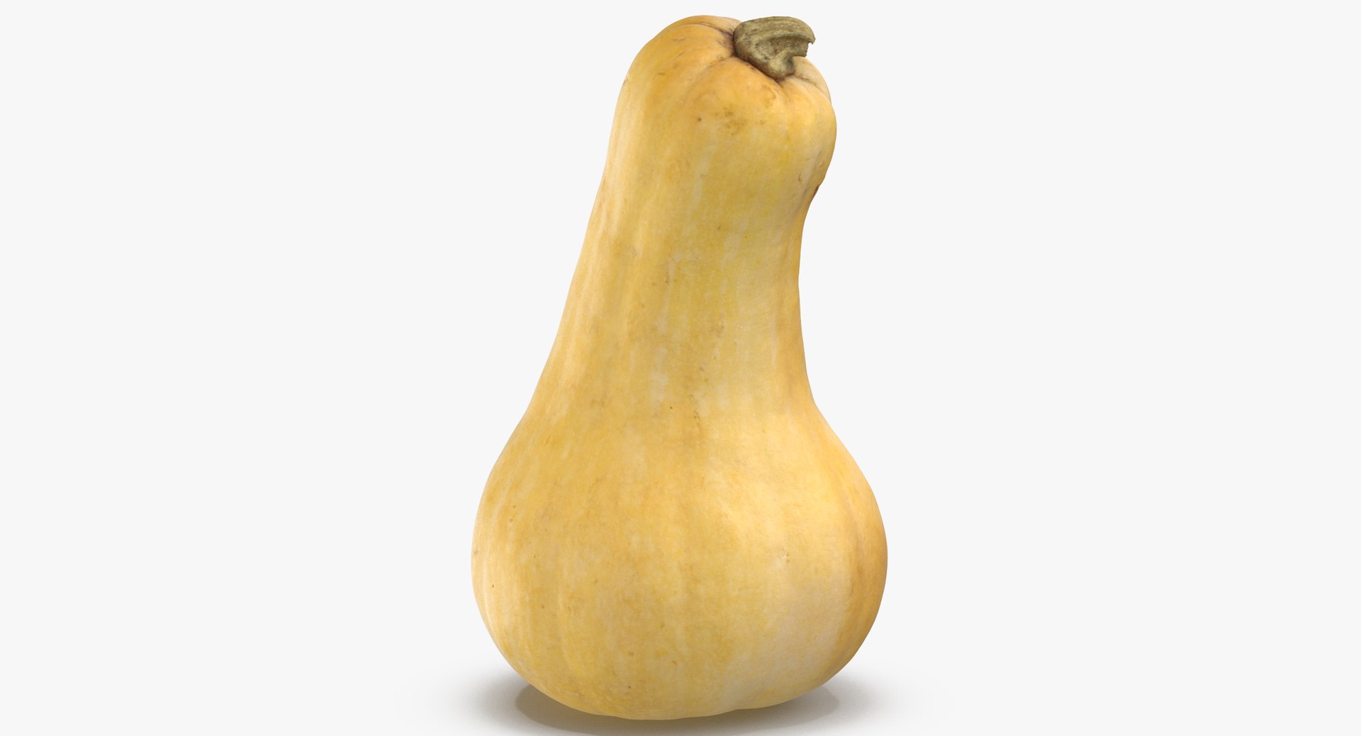 3D model Pumkins Collection 08 - 10 models https://p.turbosquid.com/ts-thumb/ps/Q0RltZ/QP/pumpkin_butternut_01_thumbnail_0001/jpg/1635502571/1920x1080/fit_q87/ec2a4297dc5e9cdf2824f65c2bc6eb3bdfa0dd45/pumpkin_butternut_01_thumbnail_0001.jpg
