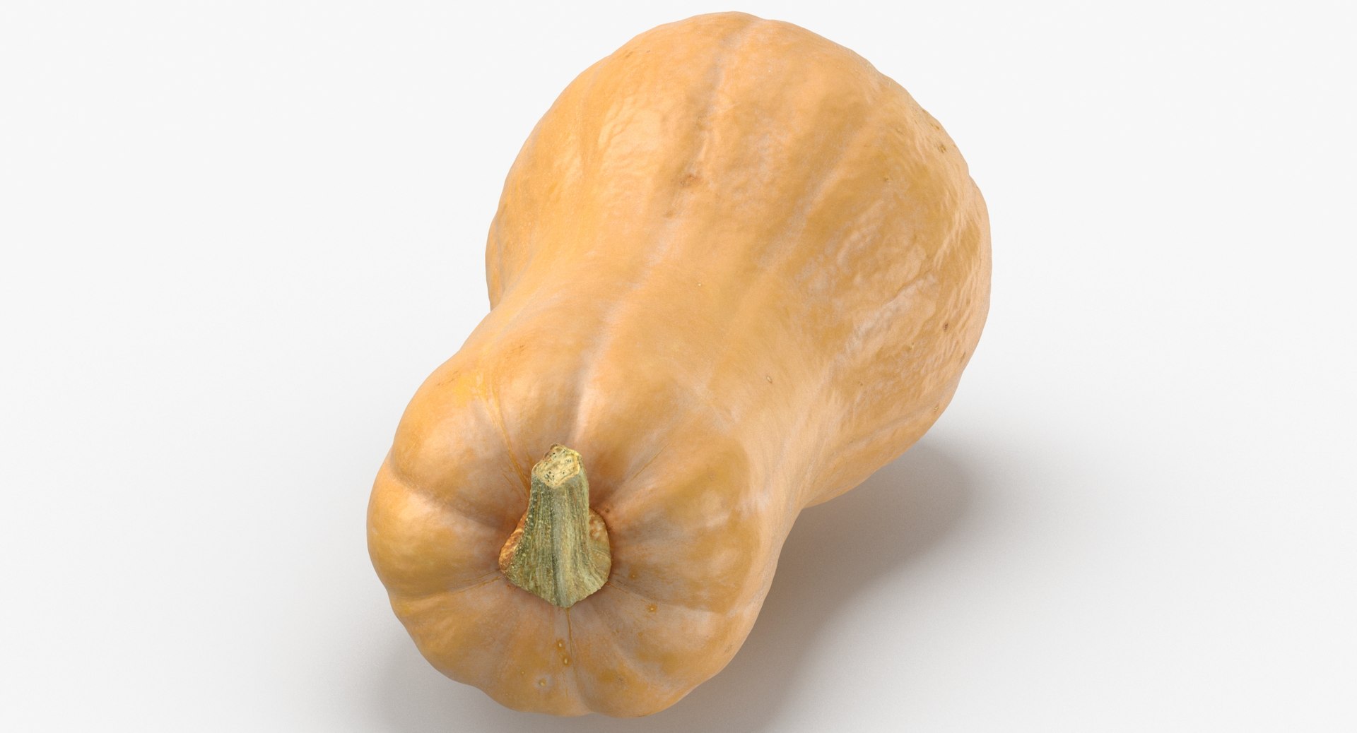 3D model Pumkins Collection 08 - 10 models https://p.turbosquid.com/ts-thumb/ps/Q0RltZ/UW/pumpkin_butternut_02_thumbnail_0005/jpg/1635502597/1920x1080/fit_q87/37e8942c62bfdffae7bb8afd3dd559766ff2852d/pumpkin_butternut_02_thumbnail_0005.jpg