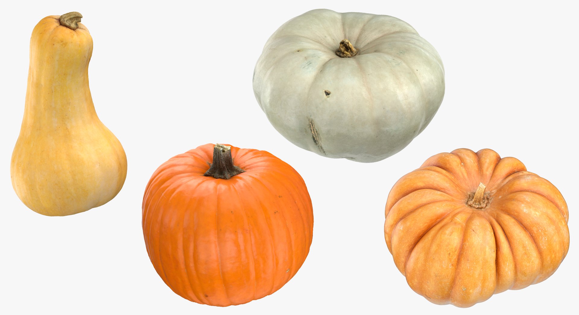 3D model Pumkins Collection 08 - 10 models https://p.turbosquid.com/ts-thumb/ps/Q0RltZ/YP/38b/jpg/1635502582/1920x1080/fit_q87/f1ab0a0dae43e3d2ad0c6d07315aa581e38abfa1/38b.jpg