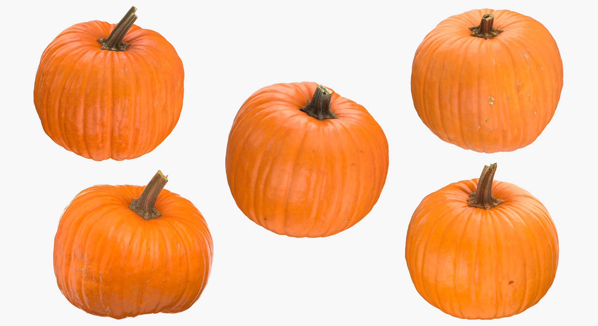 3D model Pumkins Collection 08 - 10 models https://p.turbosquid.com/ts-thumb/ps/Q0RltZ/Zr/14a/jpg/1635502587/1920x1080/fit_q87/d3782d6537f083fa8b31eaf81e0c0ebe77678d75/14a.jpg
