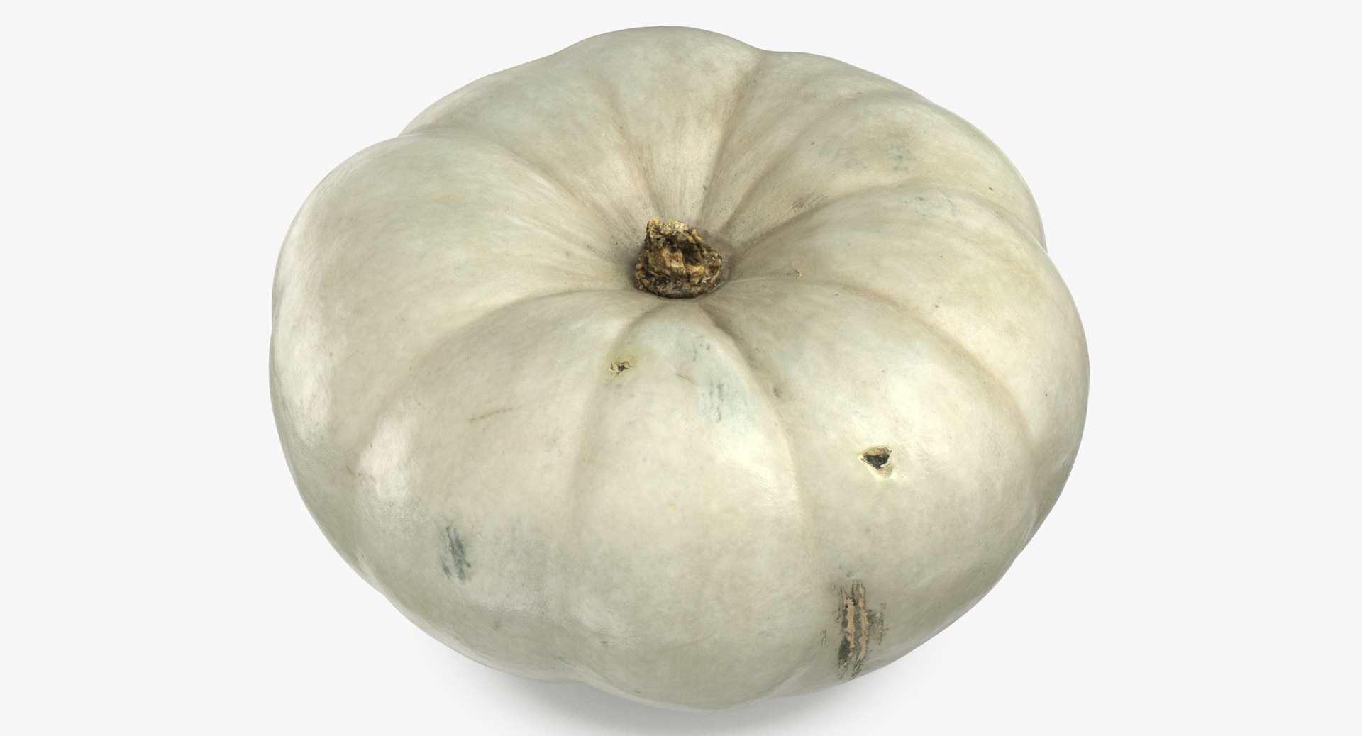 3D model Pumkins Collection 08 - 10 models https://p.turbosquid.com/ts-thumb/ps/Q0RltZ/e3/pumpkin_04_thumbnail_0003/jpg/1635502580/1920x1080/fit_q87/95a080b40a2b0ea603ecddb75c0f17eb083c1006/pumpkin_04_thumbnail_0003.jpg