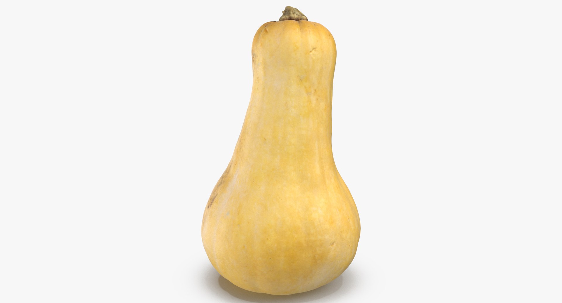 3D model Pumkins Collection 08 - 10 models https://p.turbosquid.com/ts-thumb/ps/Q0RltZ/fa/pumpkin_butternut_01_thumbnail_0002/jpg/1635502574/1920x1080/fit_q87/405270d152e995e7cba08b99fd808fe9cf855633/pumpkin_butternut_01_thumbnail_0002.jpg