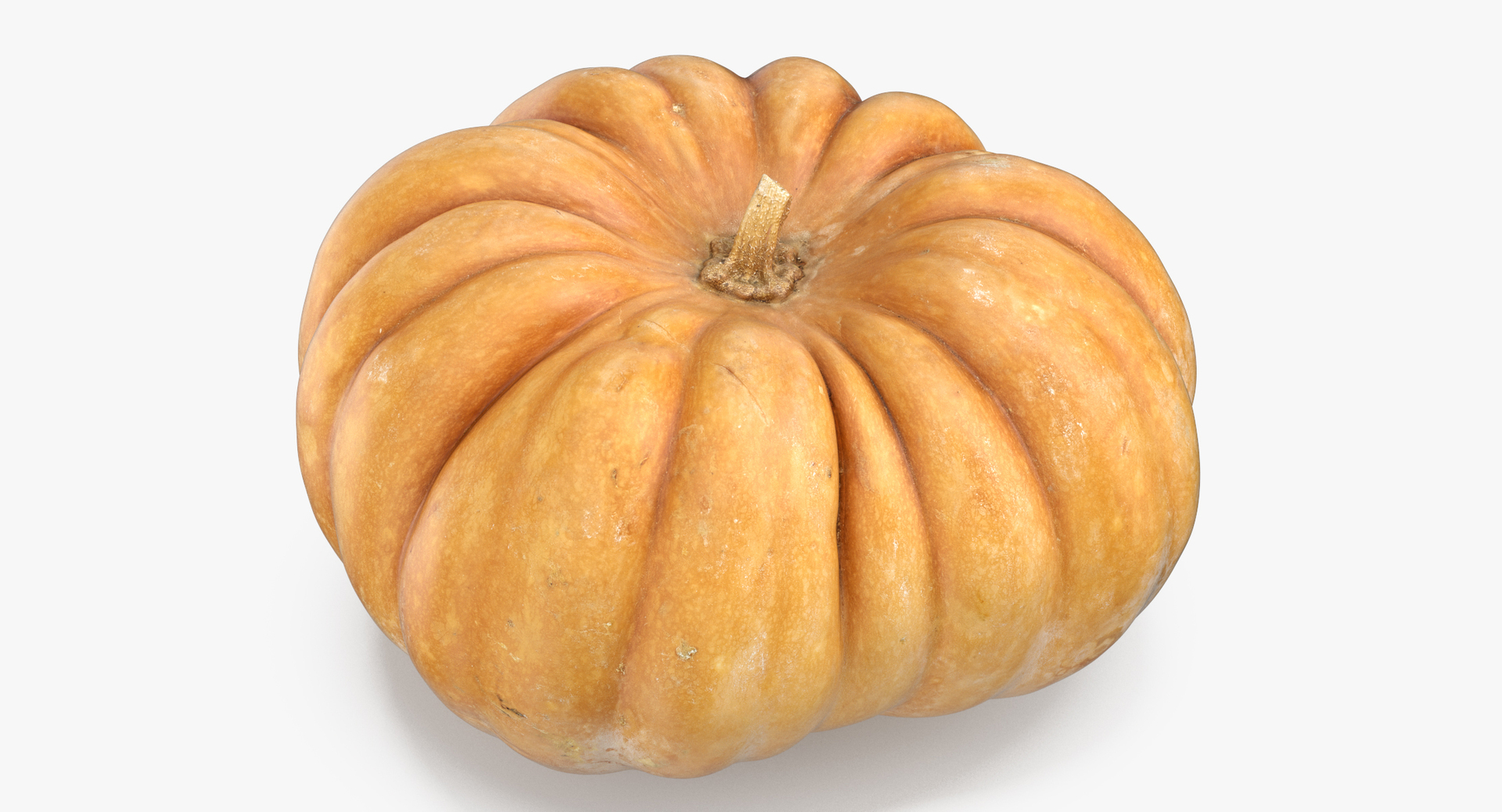 3D model Pumkins Collection 08 - 10 models https://p.turbosquid.com/ts-thumb/ps/Q0RltZ/hi/0000/jpg/1555686987/1920x1080/turn_fit_q99/334d55374c5749439138eb5ebe0e62de8021ec0a/0000-1.jpg
