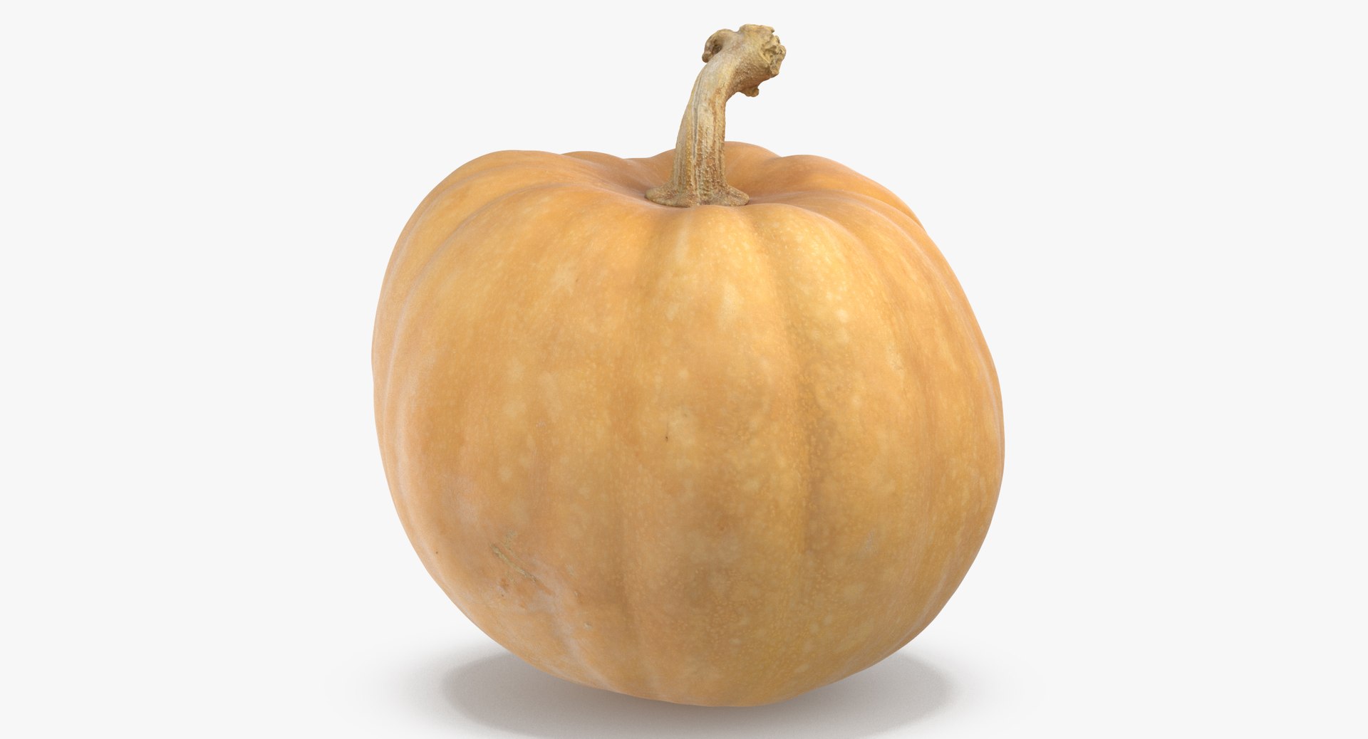 3D model Pumkins Collection 08 - 10 models https://p.turbosquid.com/ts-thumb/ps/Q0RltZ/il/pumpkin_02_thumbnail_0005/jpg/1635502577/1920x1080/fit_q87/bbf0d3d82fb9fea797dcf4bda4f998fd860e962c/pumpkin_02_thumbnail_0005.jpg