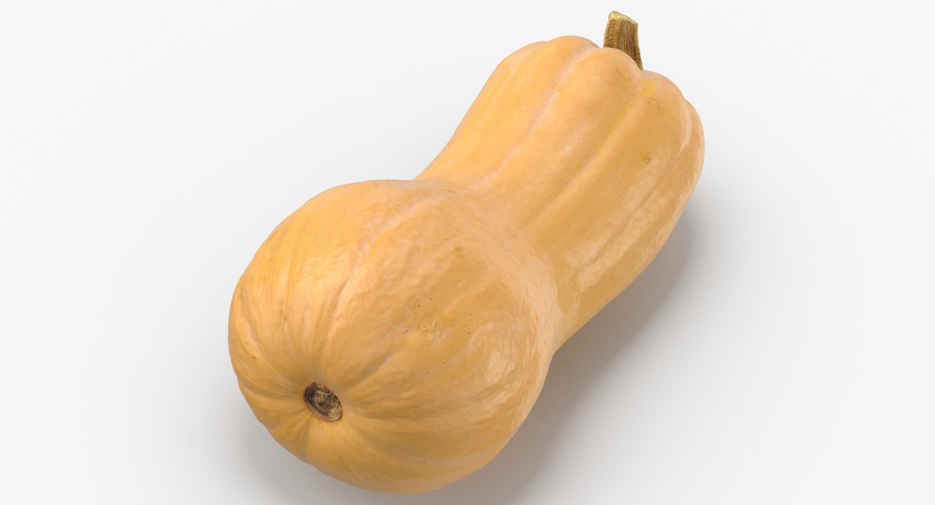 3D model Pumkins Collection 08 - 10 models https://p.turbosquid.com/ts-thumb/ps/Q0RltZ/jg/pumpkin_butternut_02_thumbnail_0002/jpg/1635502590/1920x1080/fit_q87/4e012bbab9a6016beefda5758921d0d0af1b461e/pumpkin_butternut_02_thumbnail_0002.jpg