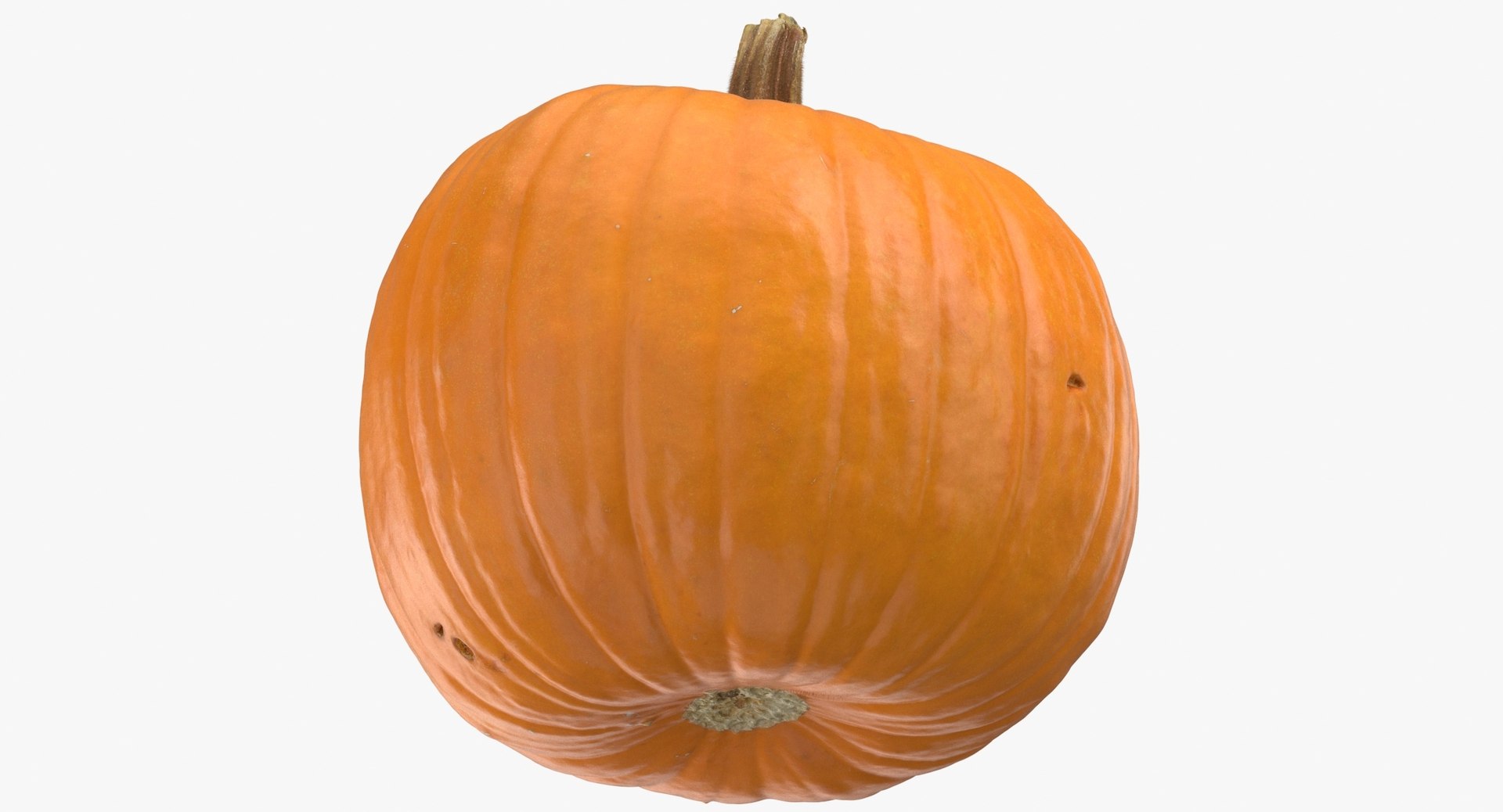 3D model Pumkins Collection 08 - 10 models https://p.turbosquid.com/ts-thumb/ps/Q0RltZ/nq/jack_o_lantern_pumpkin_04_thumbnail_0007.jpgb6fba149255848f8a6ea8a0f855e50e3zoom/jpg/1635502697/1920x1080/fit_q87/e6d2ca46814c23ab605ded29b893c64b18d89248/jack_o_lantern_pumpkin_04_thumbnail_0007.jpgb6fba149255848f8a6ea8a0f855e50e3zoom.jpg