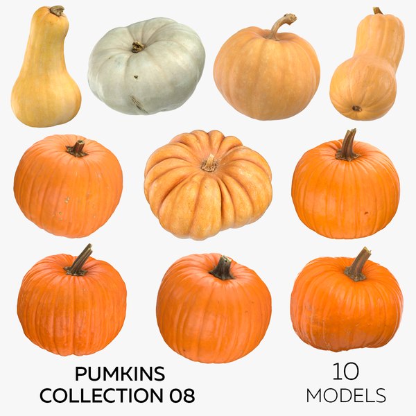 free pumpkin 3d model