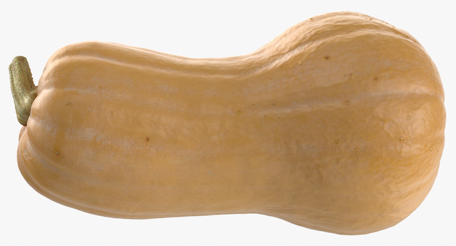 3D model Pumkins Collection 08 - 10 models https://p.turbosquid.com/ts-thumb/ps/Q0RltZ/pq/pumpkin_butternut_02_thumbnail_0007/jpg/1635502602/1920x1080/fit_q87/25c11ddd56564a4ff7435db27ee204c32b4d402e/pumpkin_butternut_02_thumbnail_0007.jpg
