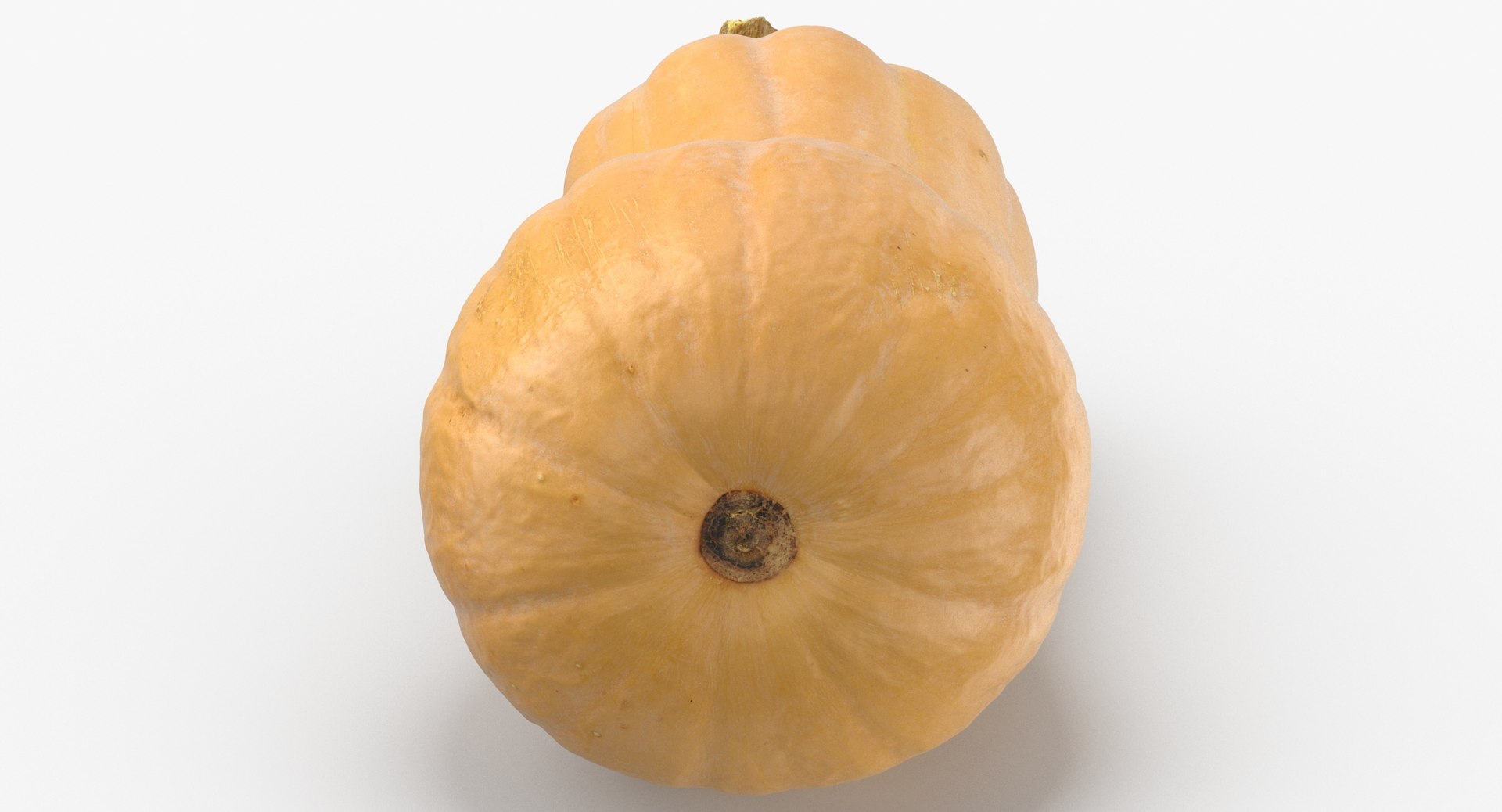 3D model Pumkins Collection 08 - 10 models https://p.turbosquid.com/ts-thumb/ps/Q0RltZ/qD/pumpkin_butternut_02_thumbnail_0006/jpg/1635502594/1920x1080/fit_q87/708ab0e571e45e468409e1d762f2e901855a507c/pumpkin_butternut_02_thumbnail_0006.jpg
