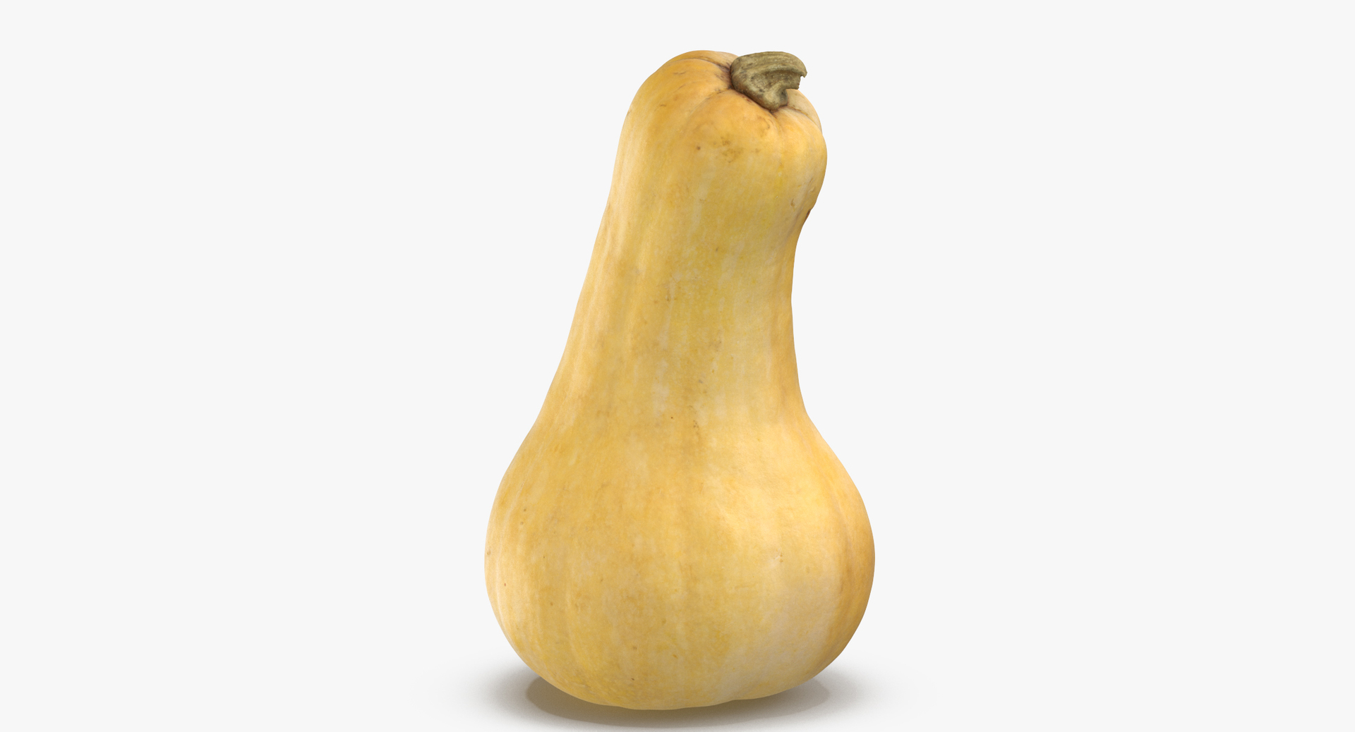 3D model Pumkins Collection 08 - 10 models https://p.turbosquid.com/ts-thumb/ps/Q0RltZ/qi/0000/jpg/1553504002/1920x1080/turn_fit_q99/0606d577d4b3e1695c6b51edf48450de45e2d1a6/0000-1.jpg