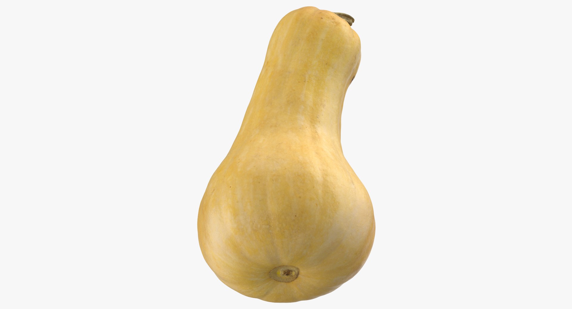 3D model Pumkins Collection 08 - 10 models https://p.turbosquid.com/ts-thumb/ps/Q0RltZ/ui/pumpkin_butternut_01_thumbnail_0007/jpg/1635502573/1920x1080/fit_q87/e5839c0e3543044e8dfee862aacb93833a12e452/pumpkin_butternut_01_thumbnail_0007.jpg