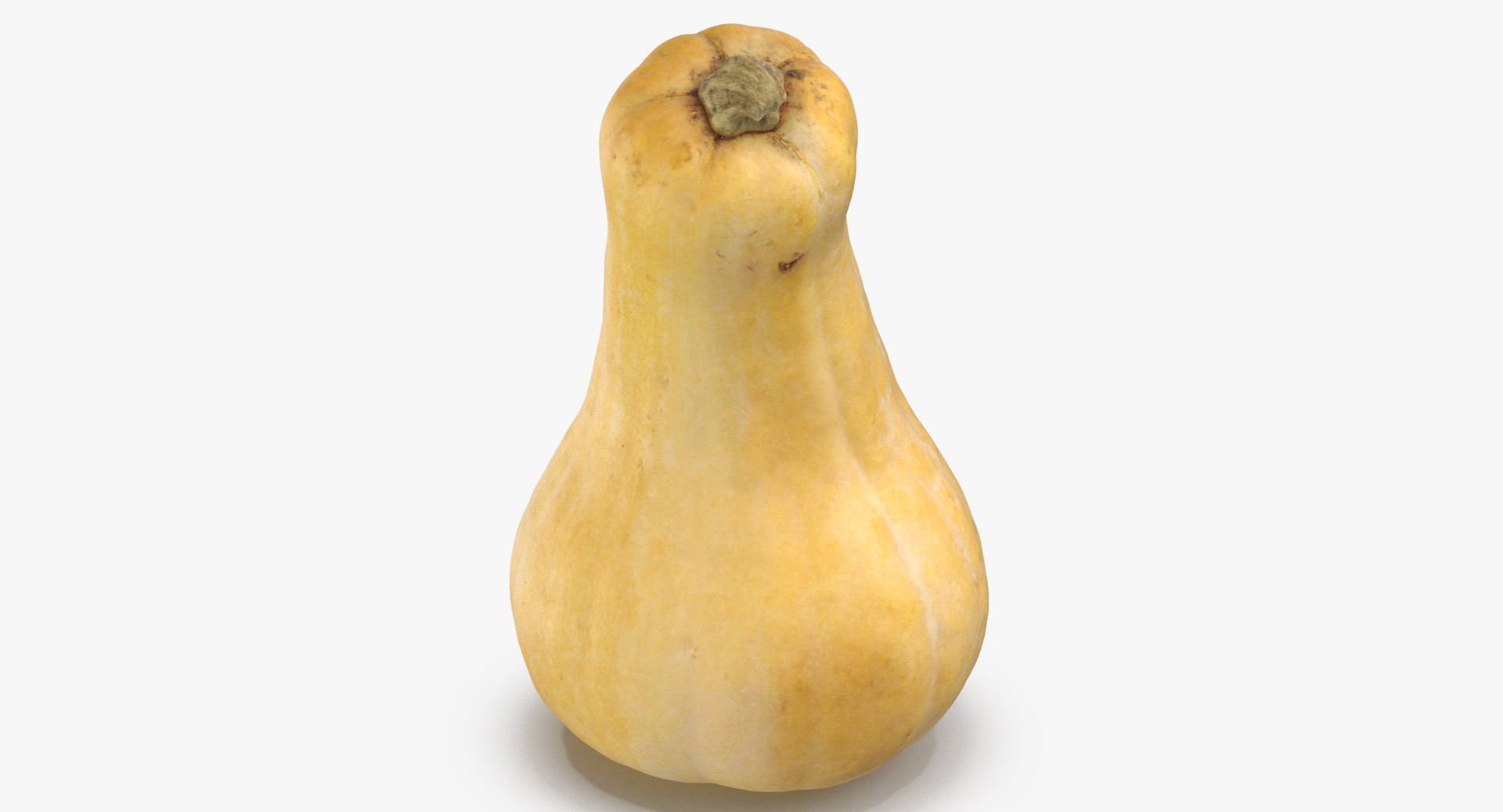 3D model Pumkins Collection 08 - 10 models https://p.turbosquid.com/ts-thumb/ps/Q0RltZ/wp/pumpkin_butternut_01_thumbnail_0004/jpg/1635502572/1920x1080/fit_q87/b3d0de1bfe5331720ab0d4e8d564b8fab801e20c/pumpkin_butternut_01_thumbnail_0004.jpg