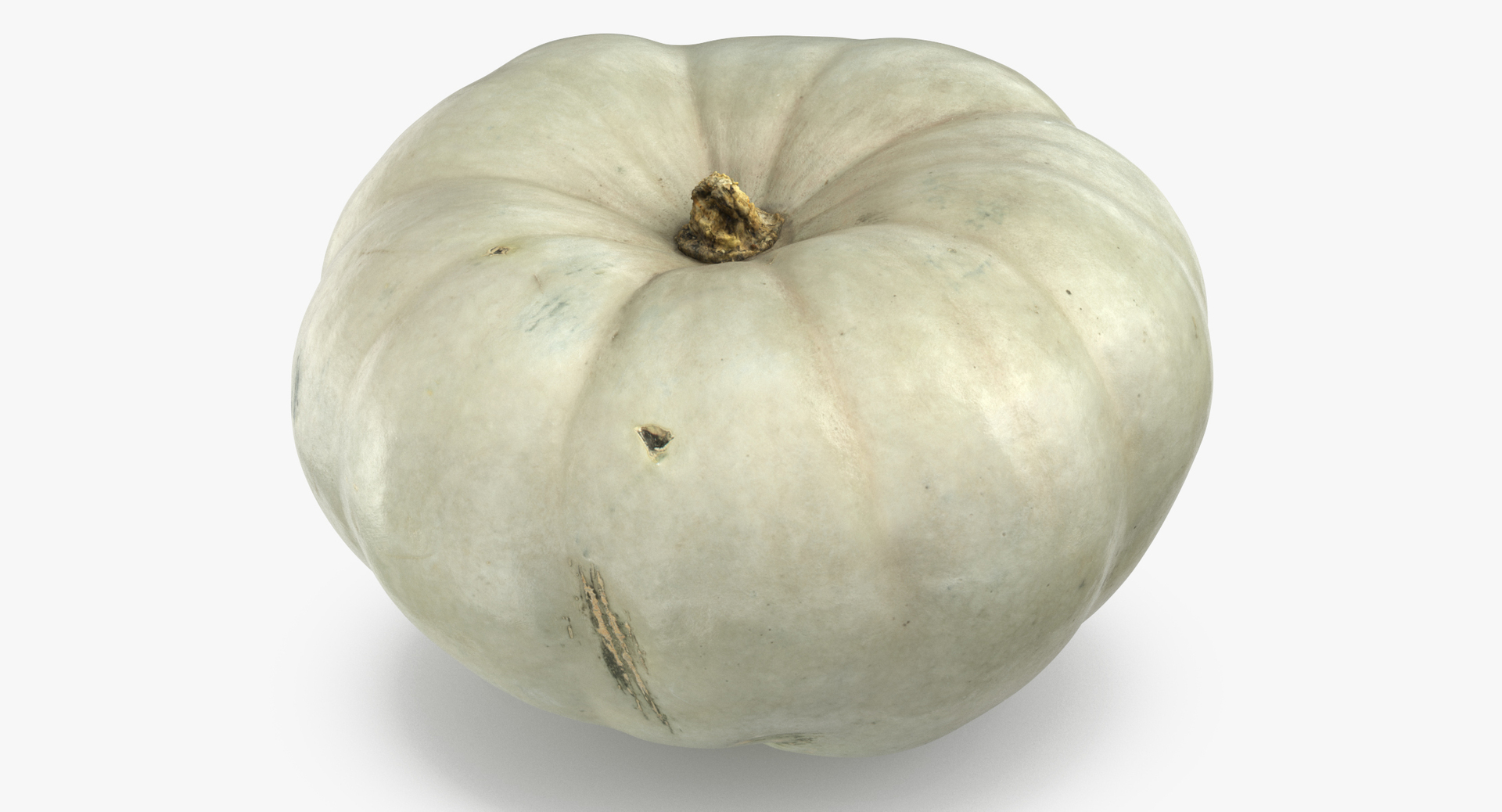 3D model Pumkins Collection 08 - 10 models https://p.turbosquid.com/ts-thumb/ps/Q0RltZ/zV/0000/jpg/1554910770/1920x1080/turn_fit_q99/df749540b8fab78847dec737345f2c8e248ebf4d/0000-1.jpg