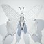 Machaon papillon (1)
