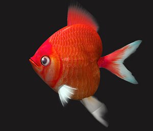 Gold Fish heart shaped