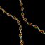 chromosome 3d model