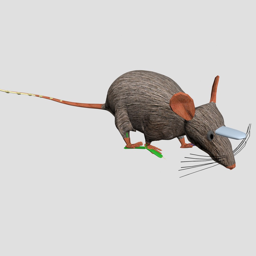 3d model rat mouse https://p.turbosquid.com/ts-thumb/ps/XmTosV/O1T6kKHP/farerender2/jpg/1422481943/1920x1080/fit_q87/a2937eeb9d9024c88175a7723e108c96fa46eeae/farerender2.jpg