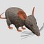rat mouse cartoon
