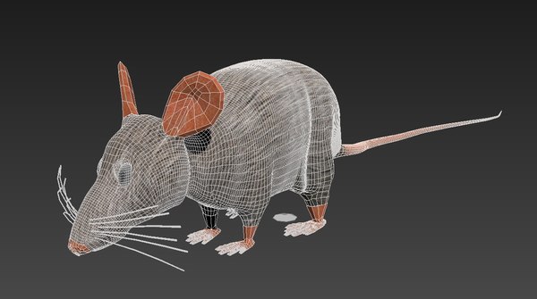 3d model rat mouse