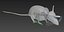 rat mouse cartoon