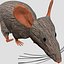 rat mouse cartoon