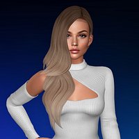 Female hairstyle Windrose low poly