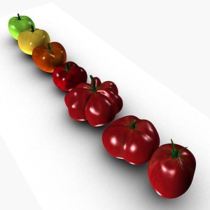 3D Variety tomatoes model