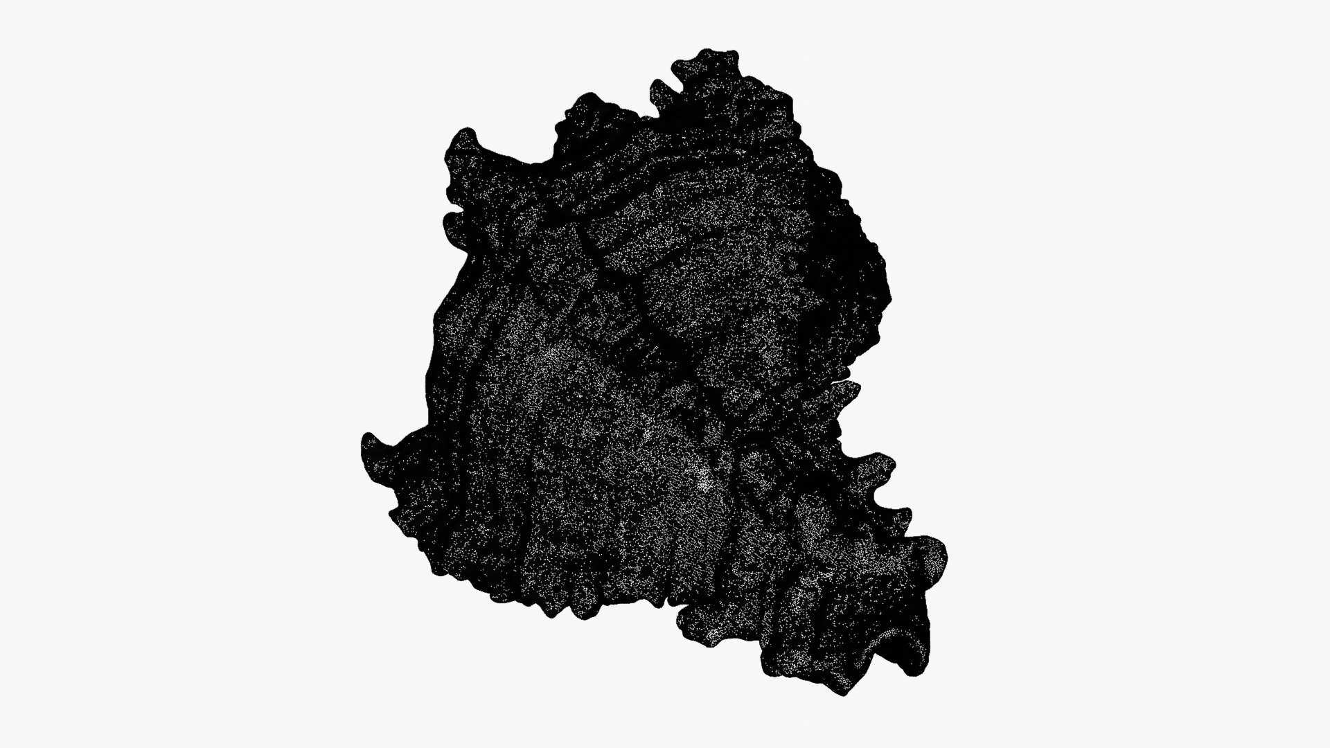 Murex Zebra Raw Scan 3D https://p.turbosquid.com/ts-thumb/ps/nSmEvr/4t/murexzebra_d0011b/png/1752143940/1920x1080/fit_q87/1d3bb0620461780300aff665702e2dd601e8c9b6/murexzebra_d0011b.jpg
