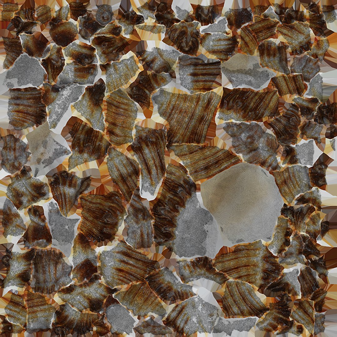 Murex Zebra Raw Scan 3D https://p.turbosquid.com/ts-thumb/ps/nSmEvr/Zt/murexzebra_f0004/png/1752143940/1920x1080/fit_q87/ecb06bb36be7f407f24bffc653eecb505a5c9683/murexzebra_f0004.jpg