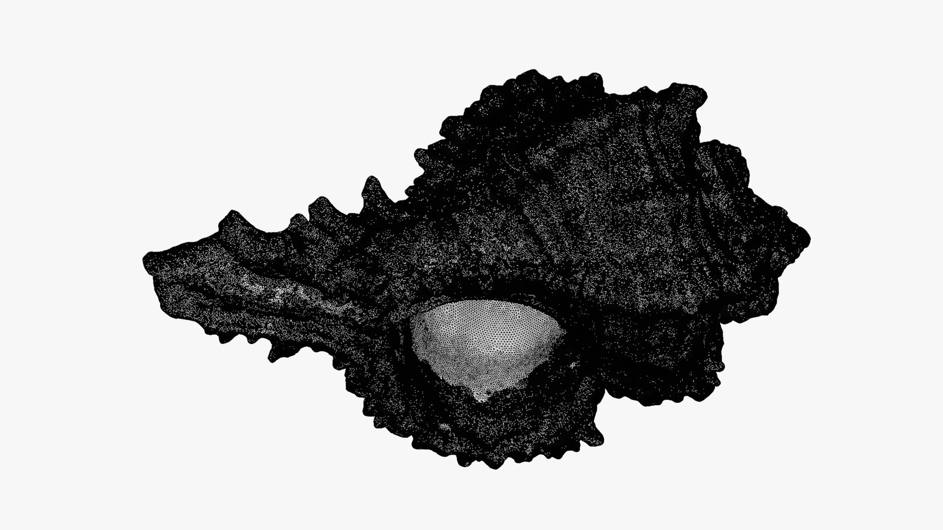 Murex Zebra Raw Scan 3D https://p.turbosquid.com/ts-thumb/ps/nSmEvr/p0/murexzebra_d0013b/png/1752143939/1920x1080/fit_q87/29296899c9a9a669e1e8733e89af7b89d7ee2c53/murexzebra_d0013b.jpg