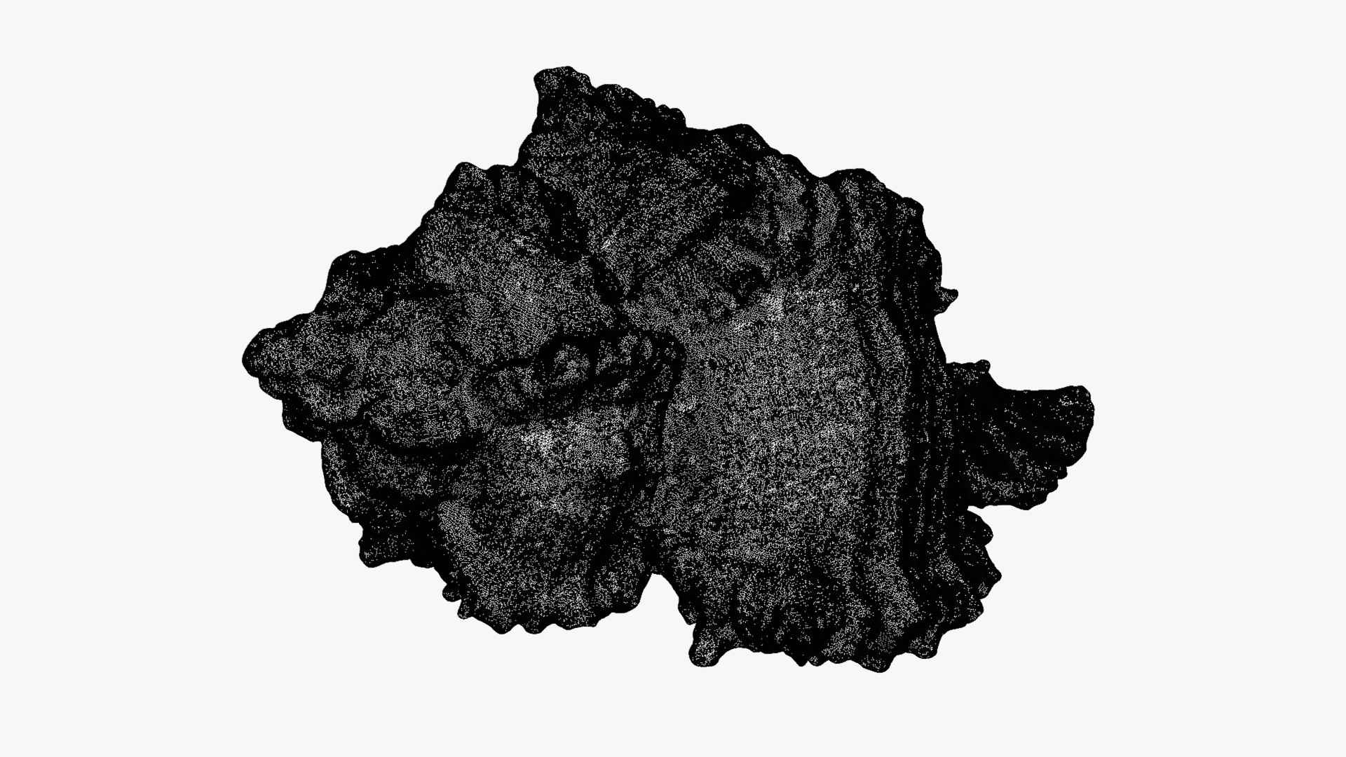 Murex Zebra Raw Scan 3D https://p.turbosquid.com/ts-thumb/ps/nSmEvr/qK/murexzebra_d0009b/png/1752143938/1920x1080/fit_q87/2e229258909d10b76cadc2a28d2df6fffc2a8ae1/murexzebra_d0009b.jpg