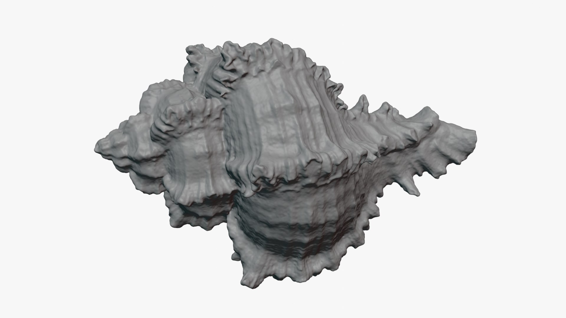 Murex Zebra Raw Scan 3D https://p.turbosquid.com/ts-thumb/ps/nSmEvr/vs/murexzebra_0005c/png/1752143930/1920x1080/fit_q87/abd454c3b72d64f88ae18d2d27baf667413ae6c6/murexzebra_0005c.jpg