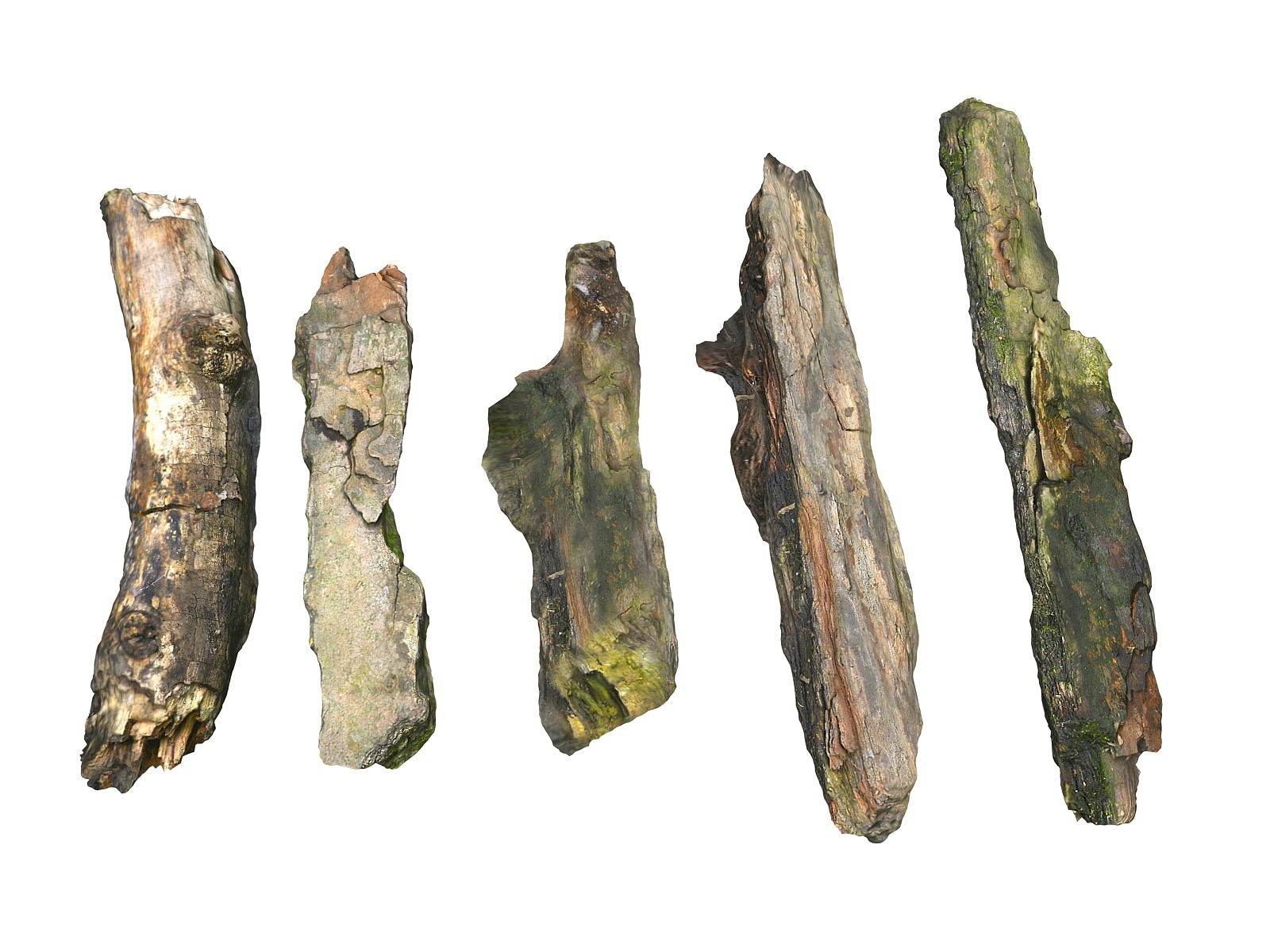 3D bark branches 28 packed - TurboSquid 1302146