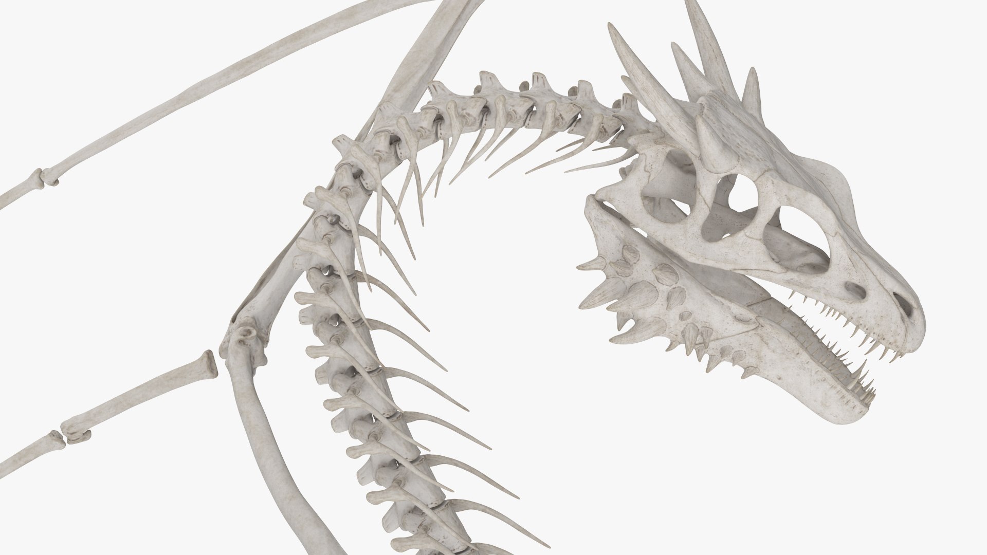3D Fantasy Dragon Creature and Skeleton Collection https://p.turbosquid.com/ts-thumb/ps/uHYF8t/MD/fantasy_dragon_creature_and_skeleton_collection_008/jpg/1769942422/1920x1080/fit_q87/dc8e81ef0e57ad10fcc731ff1a8159e8006821ff/fantasy_dragon_creature_and_skeleton_collection_008.jpg