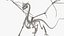 3D Fantasy Dragon Creature and Skeleton Collection