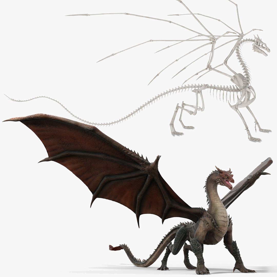 3D Fantasy Dragon Creature and Skeleton Collection https://p.turbosquid.com/ts-thumb/ps/uHYF8t/wt/fantasy_dragon_creature_and_skeleton_collection_000/jpg/1769942418/1920x1080/fit_q87/43cedab49579e57d62f26f3366a2b60d5ddc39b7/fantasy_dragon_creature_and_skeleton_collection_000.jpg
