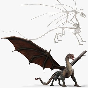 Fantasy Dragon Creature and Skeleton Collection