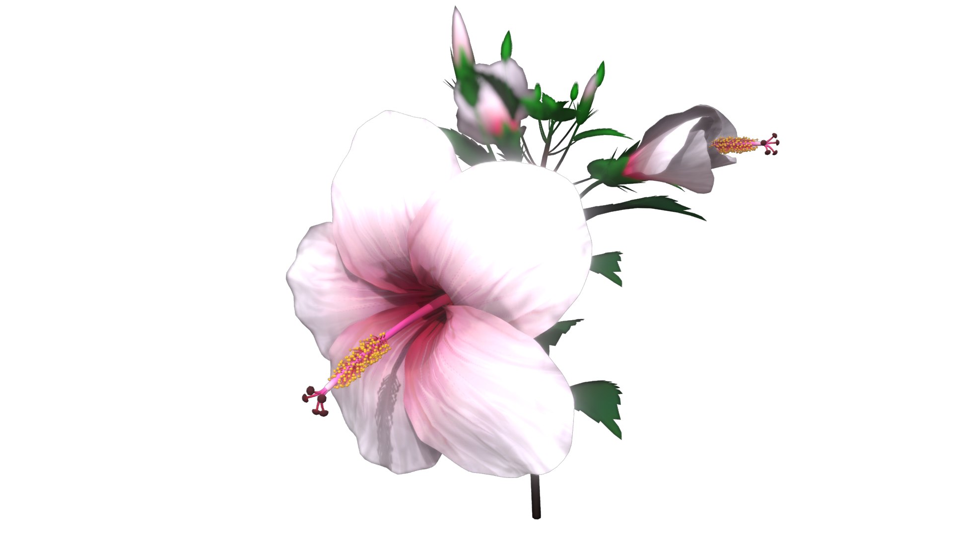 3D Flower Malaysia https://p.turbosquid.com/ts-thumb/pt/1eYjLG/dQ/flower_malaysia1/png/1696224029/1920x1080/fit_q87/0e55853981ba5ccc3172899c4e62b9e955bda883/flower_malaysia1.jpg