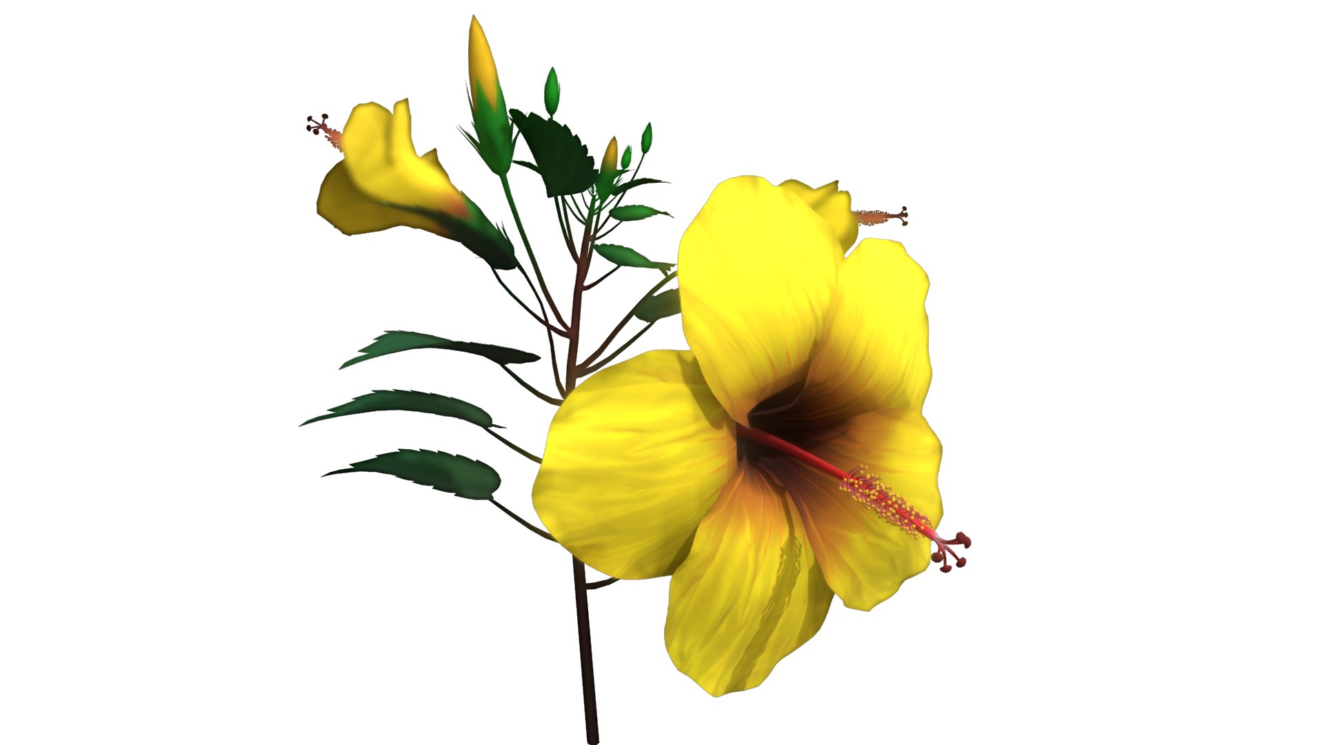 3D Flower Malaysia https://p.turbosquid.com/ts-thumb/pt/1eYjLG/ix/flower_malaysia/png/1696224025/1920x1080/fit_q87/84f0006b8d7a6b9cbbbc56055cafc3c9e4846a05/flower_malaysia.jpg