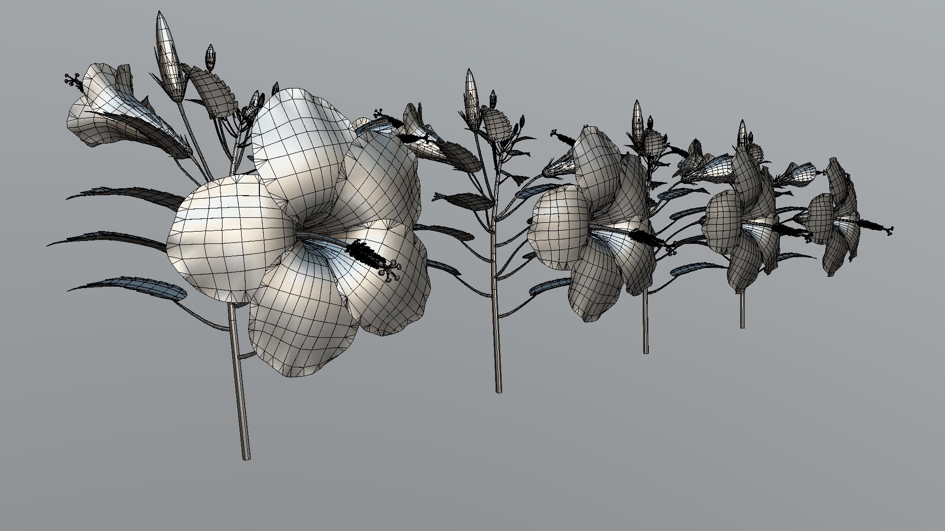 3D Flower Malaysia https://p.turbosquid.com/ts-thumb/pt/1eYjLG/jE/flower_malaysia7/png/1696224026/1920x1080/fit_q87/8be17cd6e63d0c39edf29e46e6e6dee1ef7bf7c7/flower_malaysia7.jpg