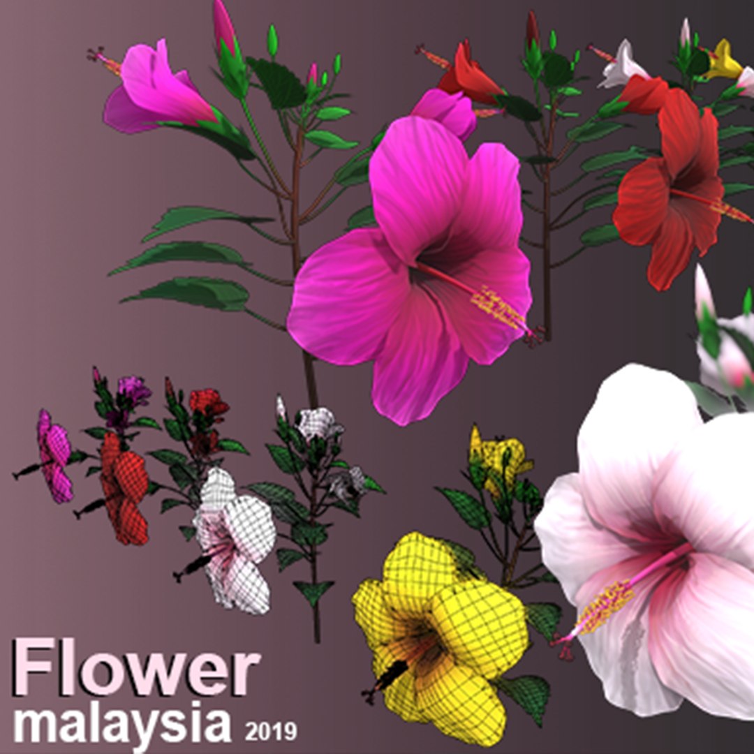3D Flower Malaysia https://p.turbosquid.com/ts-thumb/pt/1eYjLG/uA/flower_malaysia_image1200/png/1696224071/1920x1080/fit_q87/41838a2fc98bc65010d6ff0d67bf79cef99e40c1/flower_malaysia_image1200.jpg