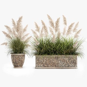 3D Pampas grass for landscaping in a classic flowerpot 1068 model