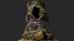 oak tree large trunk remains PBR photogrammetry