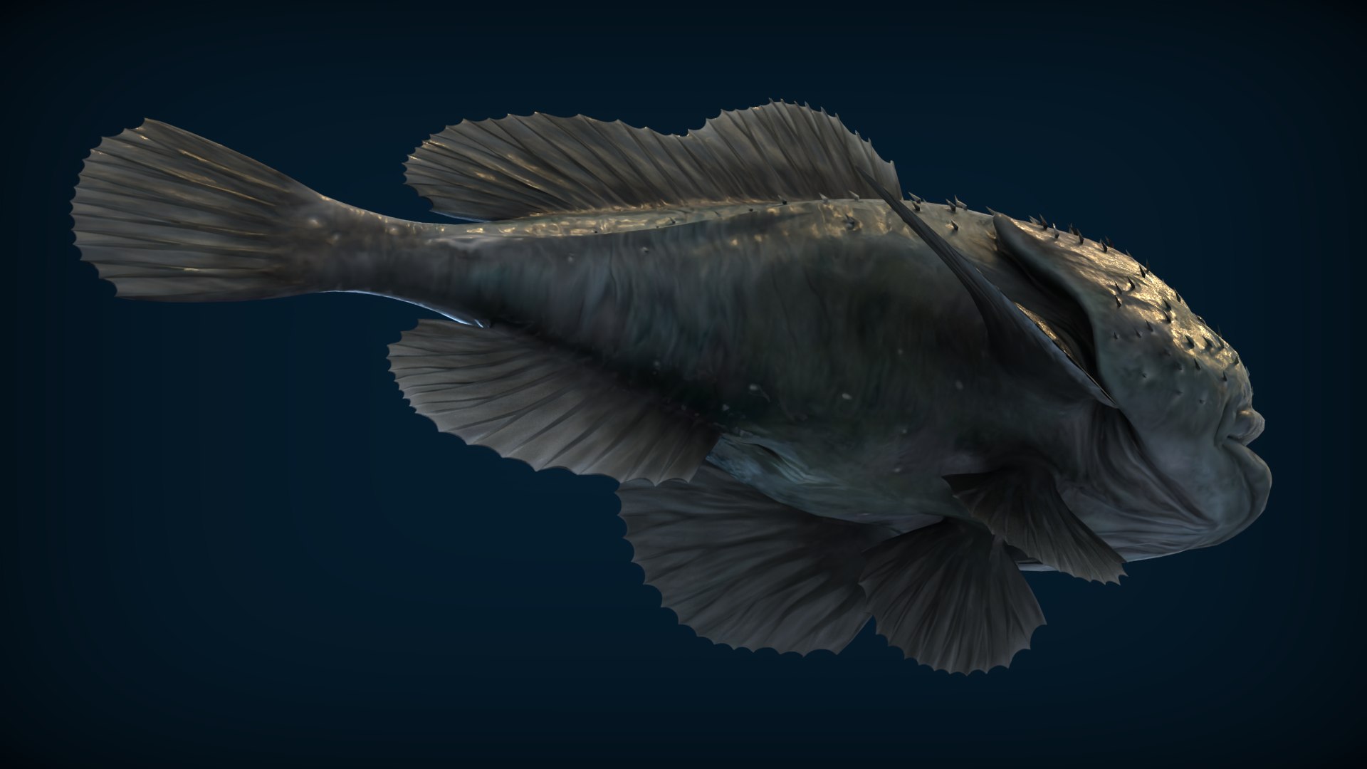 Blobfish 3D Model - TurboSquid 2306096