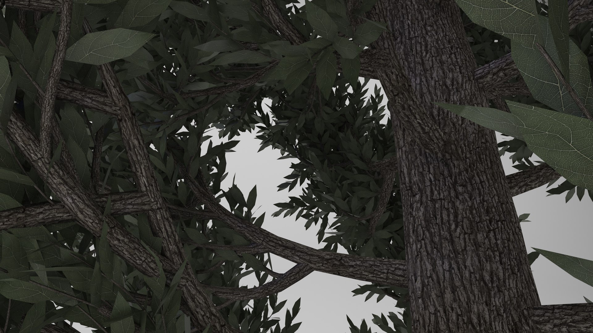 tuscan cypress tree 3D model https://p.turbosquid.com/ts-thumb/pt/Lnguol/JujMFPLD/6/jpg/1610009141/1920x1080/fit_q87/094d835da5c568496d711c38da23f7569e27391d/6.jpg