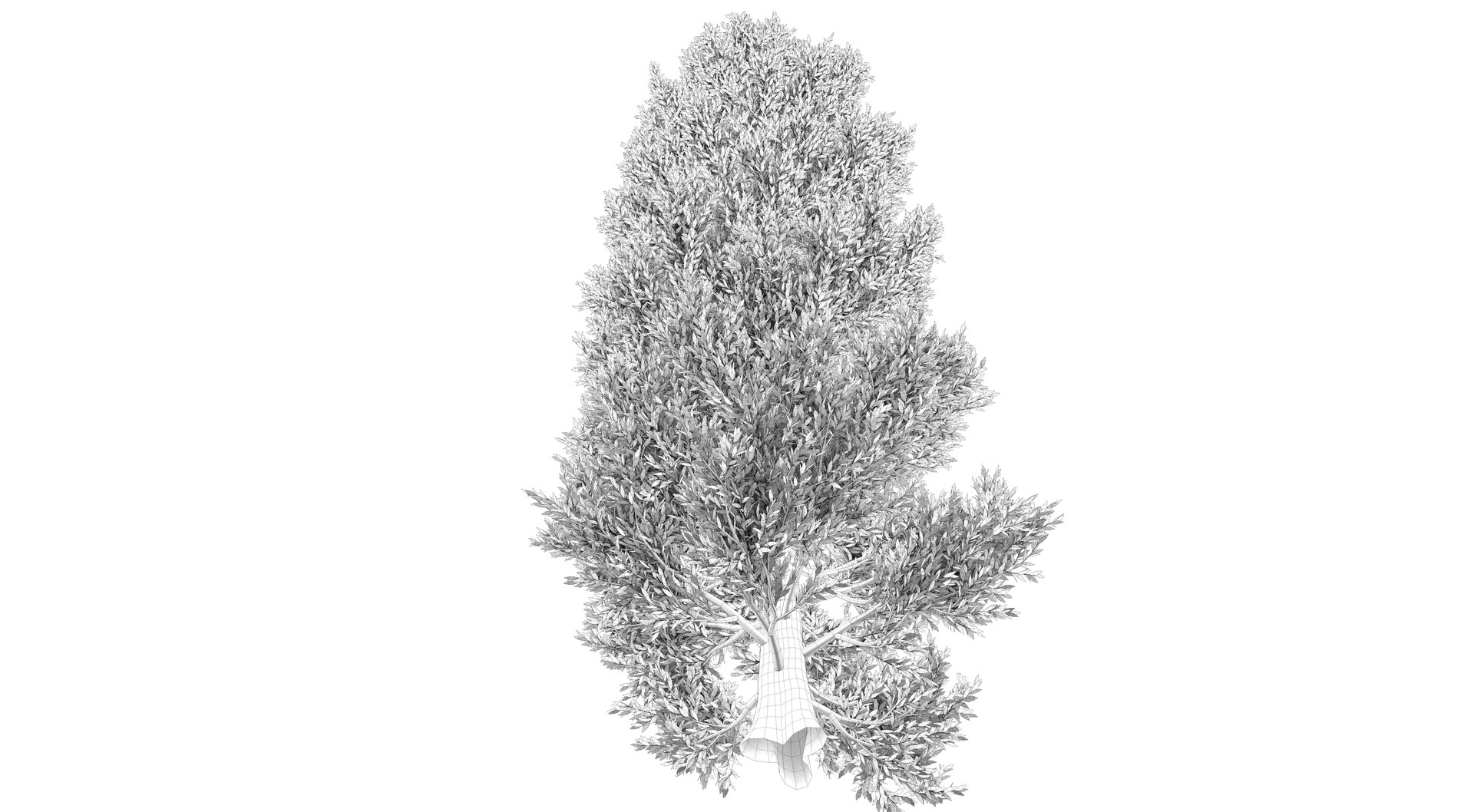 tuscan cypress tree 3D model https://p.turbosquid.com/ts-thumb/pt/Lnguol/ONZ2bhEy/render0002/png/1610009902/1920x1080/fit_q87/84c0ae2ea558f64653a269fbf95535b41a6914fb/render0002.jpg