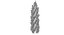 Cyprys toskański