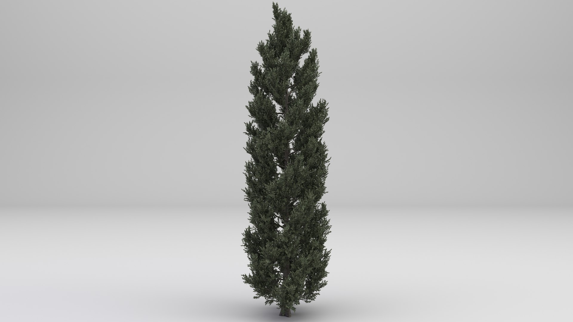 tuscan cypress tree 3D model https://p.turbosquid.com/ts-thumb/pt/Lnguol/i0EWjDLX/1/jpg/1610009140/1920x1080/fit_q87/99ccbdb7582730c15b8e7d3b96e5b1e7a327b453/1.jpg