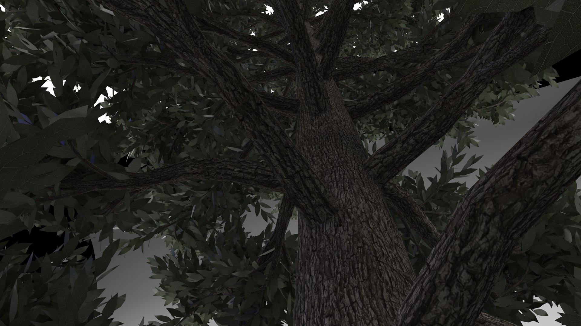 tuscan cypress tree 3D model https://p.turbosquid.com/ts-thumb/pt/Lnguol/w1VcXKLM/4/jpg/1610009141/1920x1080/fit_q87/e744cf5eb81d5ba2fa6736a827f0c164d66534a5/4.jpg